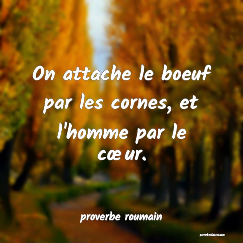 On attache le boeuf par les cornes, et l'homme par le cœur.