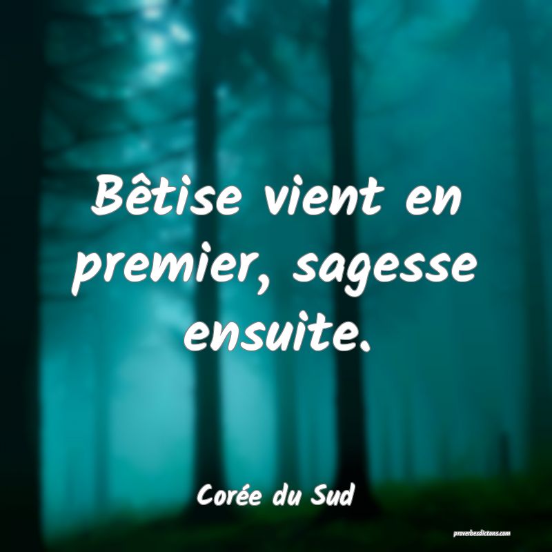  Bêtise vient en premier, sagesse ensuite.