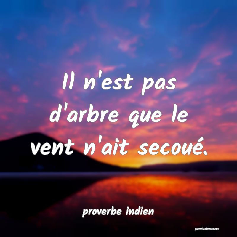  Il n'est pas d'arbre que le vent n'ait secoué.