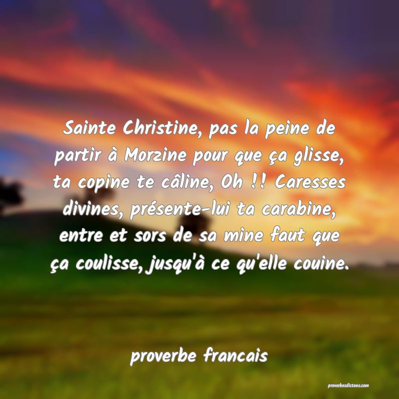 Sainte Christine, pas la peine de partir à Morzine pour que ça glisse, ta copine te câline, Oh !! Caresses divines, présente-lui ta carabine, entre et sors de sa mine faut que ça coulisse, jusqu'à ce qu'elle couine.