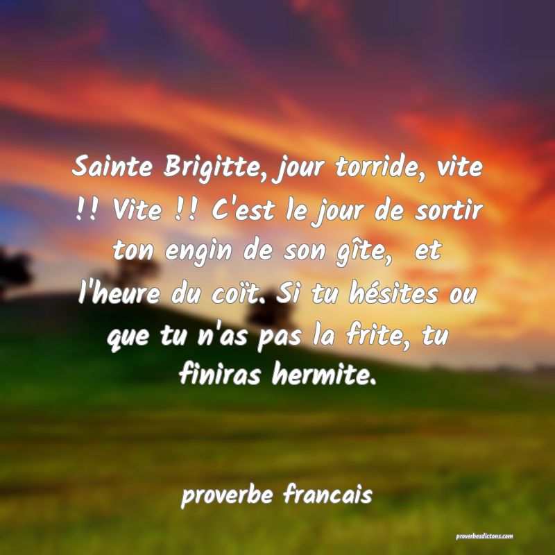 Sainte Brigitte, jour torride, vite !! Vite !! C'est le jour de sortir ton engin de son gîte,  et l'heure du coït. Si tu hésites ou que tu n'as pas la frite, tu finiras hermite.
