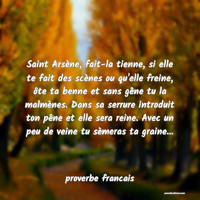  Saint Arsène, fait-la tienne, si elle te fait des scènes ou qu'elle freine, ôte ta benne et sans gêne tu la malmènes. Dans sa serrure introduit ton pêne et elle sera reine. Avec un peu de veine tu sèmeras ta graine...