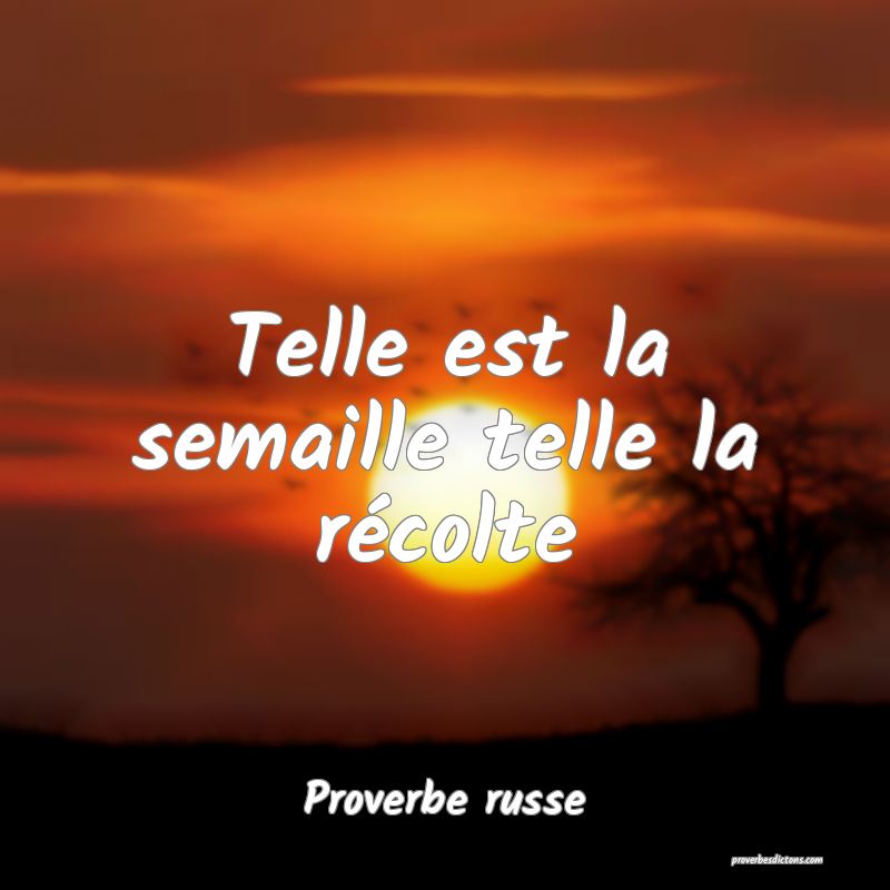  Telle est la semaille telle la récolte