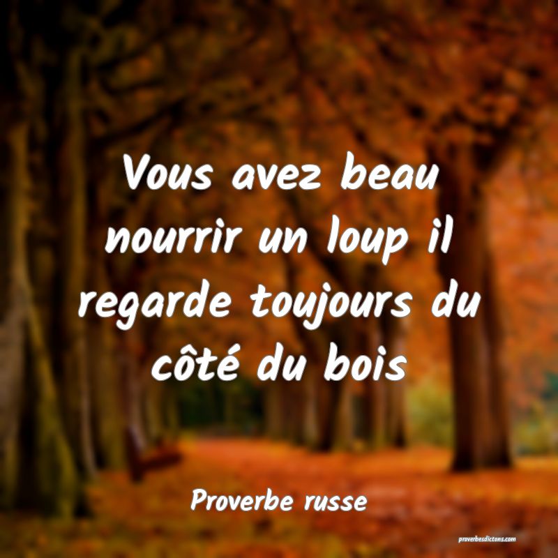  Vous avez beau nourrir un loup il regarde toujours du côté du bois