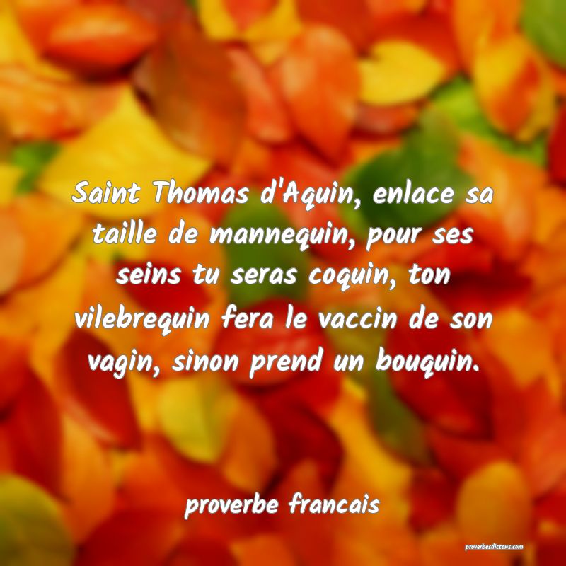 Saint Thomas d'Aquin, enlace sa taille de mannequin, pour ses seins tu seras coquin, ton vilebrequin fera le vaccin de son vagin, sinon prend un bouquin.