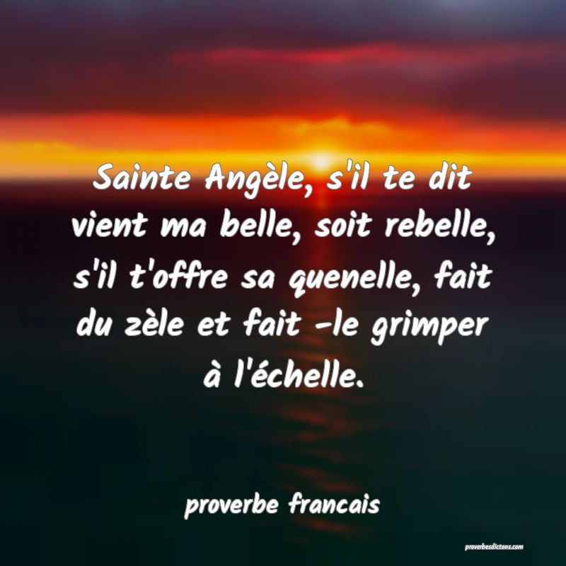Sainte Angèle, s'il te dit vient ma belle, soit rebelle, s'il t'offre sa quenelle, fait du zèle et fait -le grimper à l'échelle.