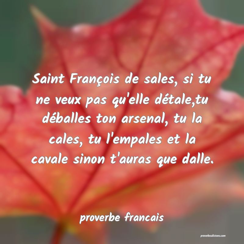 Saint François de sales, si tu ne veux pas qu'elle détale,tu déballes ton arsenal, tu la cales, tu l'empales et la cavale sinon t'auras que dalle.