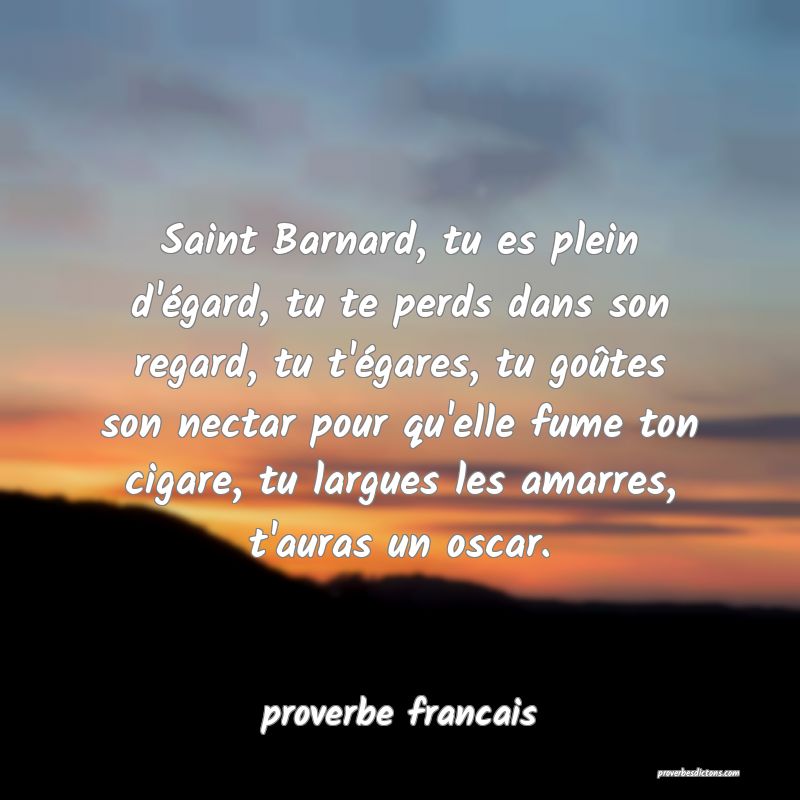 Saint Barnard, tu es plein d'égard, tu te perds dans son regard, tu t'égares, tu goûtes son nectar pour qu'elle fume ton cigare, tu largues les amarres, t'auras un oscar.
