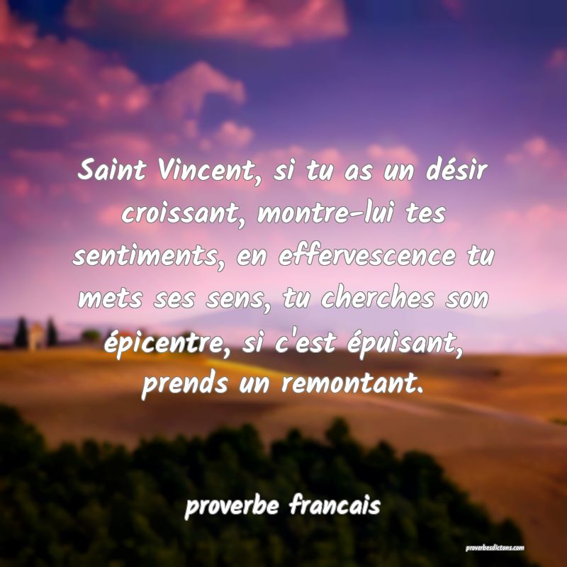 Saint Vincent, si tu as un désir croissant, montre-lui tes sentiments, en effervescence tu mets ses sens, tu cherches son épicentre, si c'est épuisant, prends un remontant.