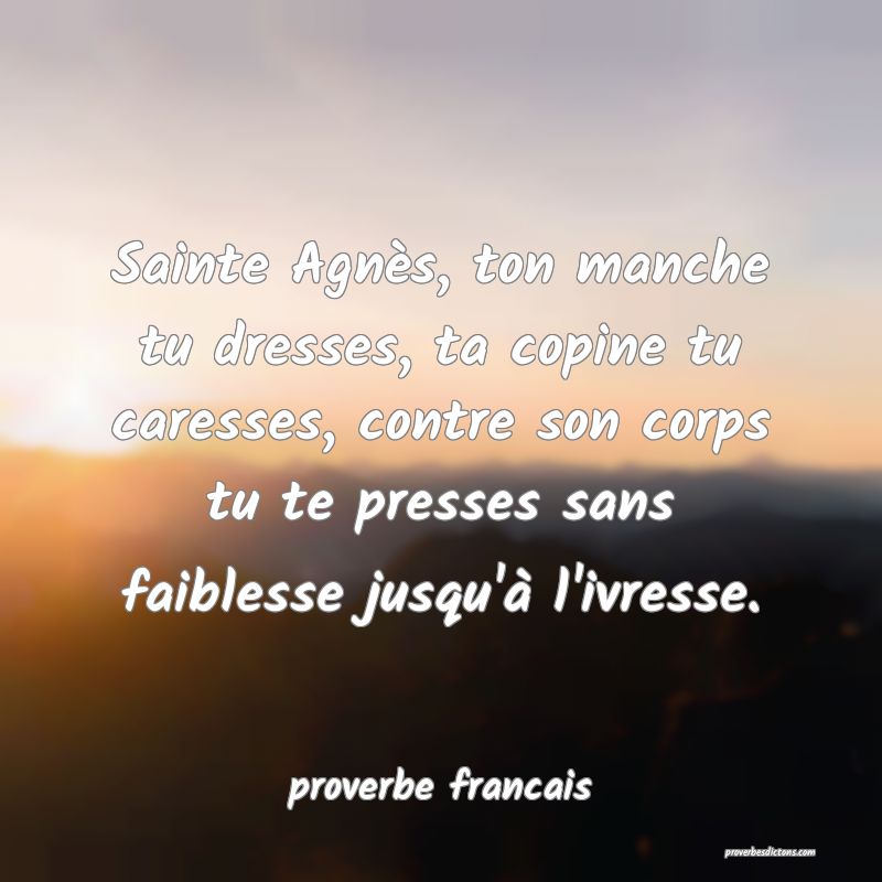 Sainte Agnès, ton manche tu dresses, ta copine tu caresses, contre son corps tu te presses sans faiblesse jusqu'à l'ivresse.