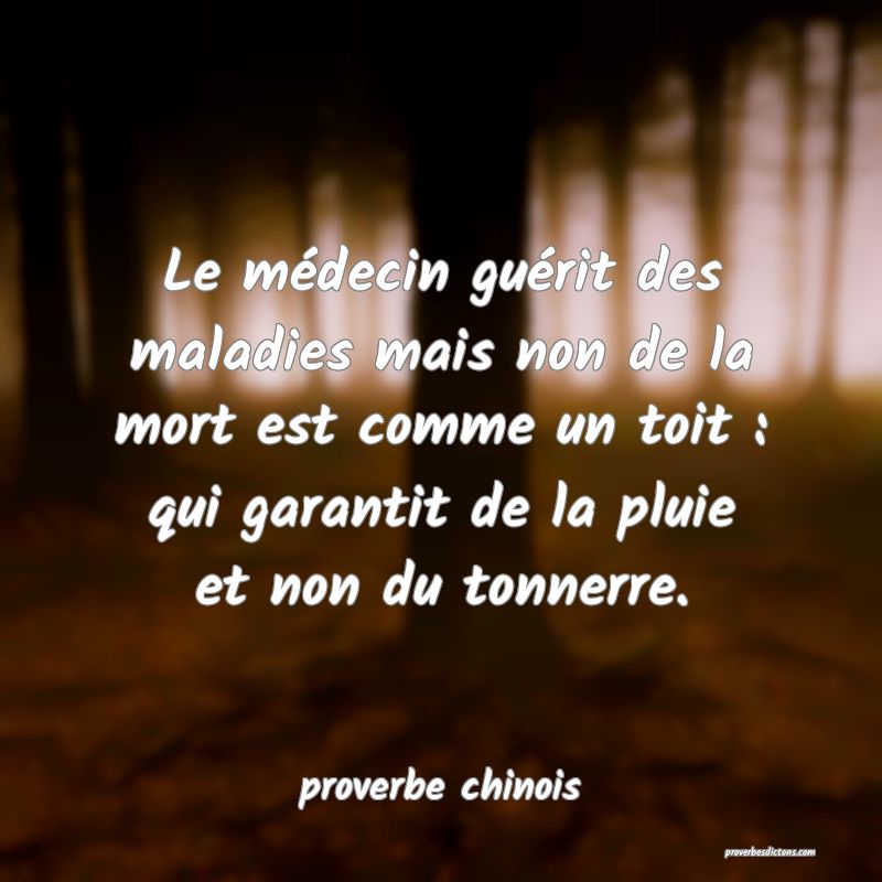  Le médecin guérit des maladies mais non de la mort est comme un toit : qui garantit de la pluie et non du tonnerre. 