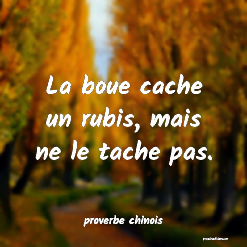  La boue cache un rubis, mais ne le tache pas.