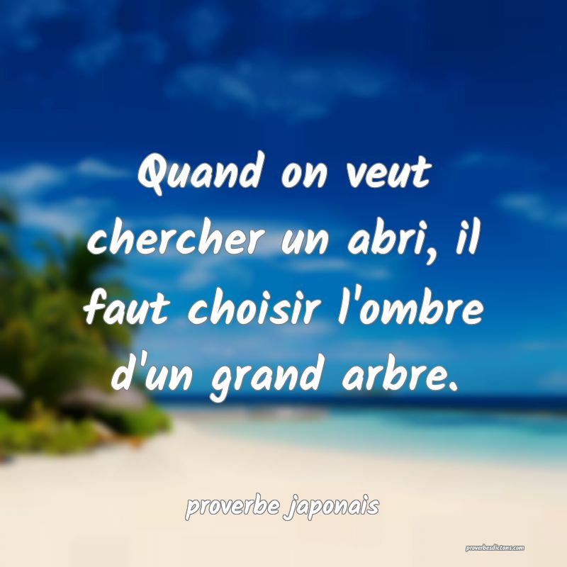  Quand on veut chercher un abri, il faut choisir l'ombre d'un grand arbre.