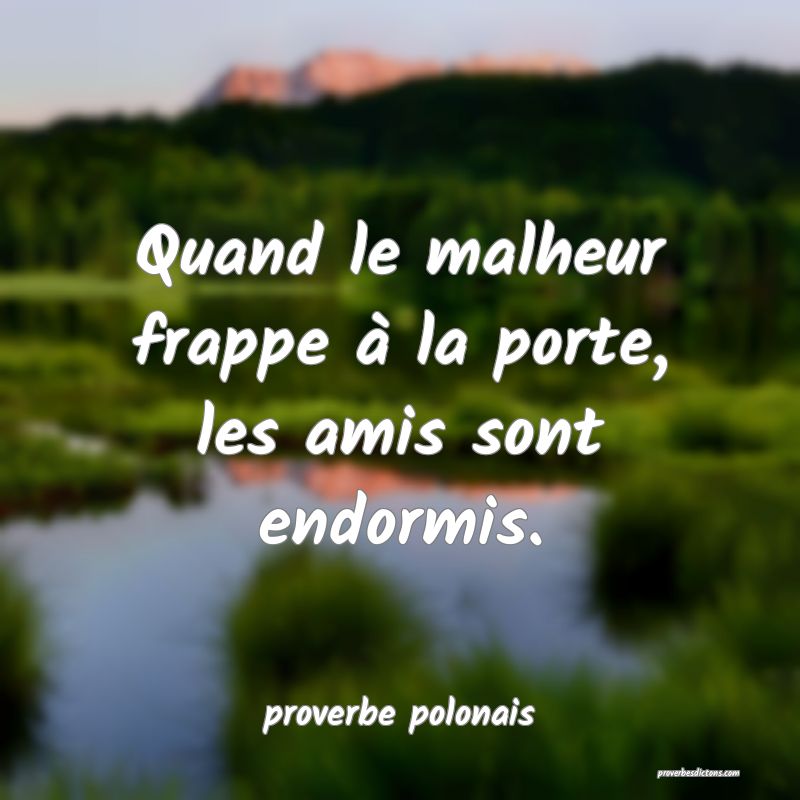 Quand le malheur frappe à la porte, les amis sont endormis.