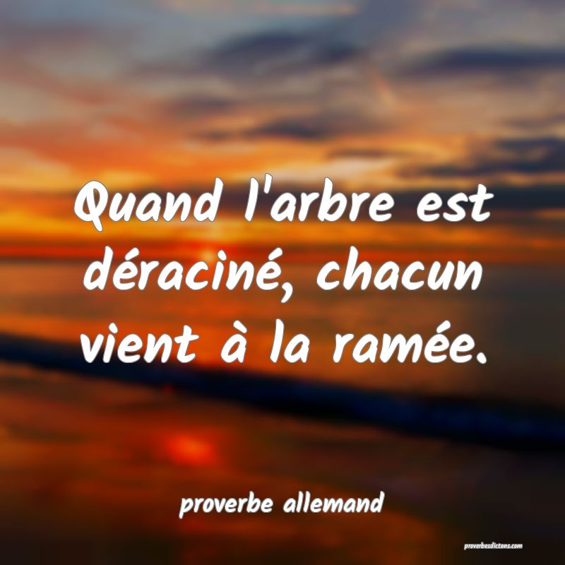  Quand l'arbre est déraciné, chacun vient à la ramée.