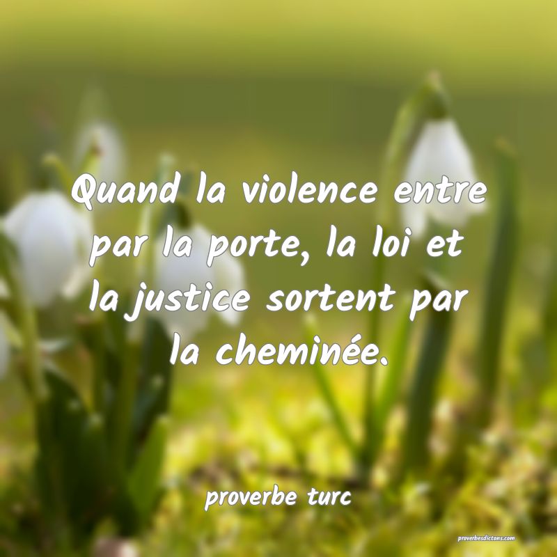  Quand la violence entre par la porte, la loi et la justice sortent par la cheminée.