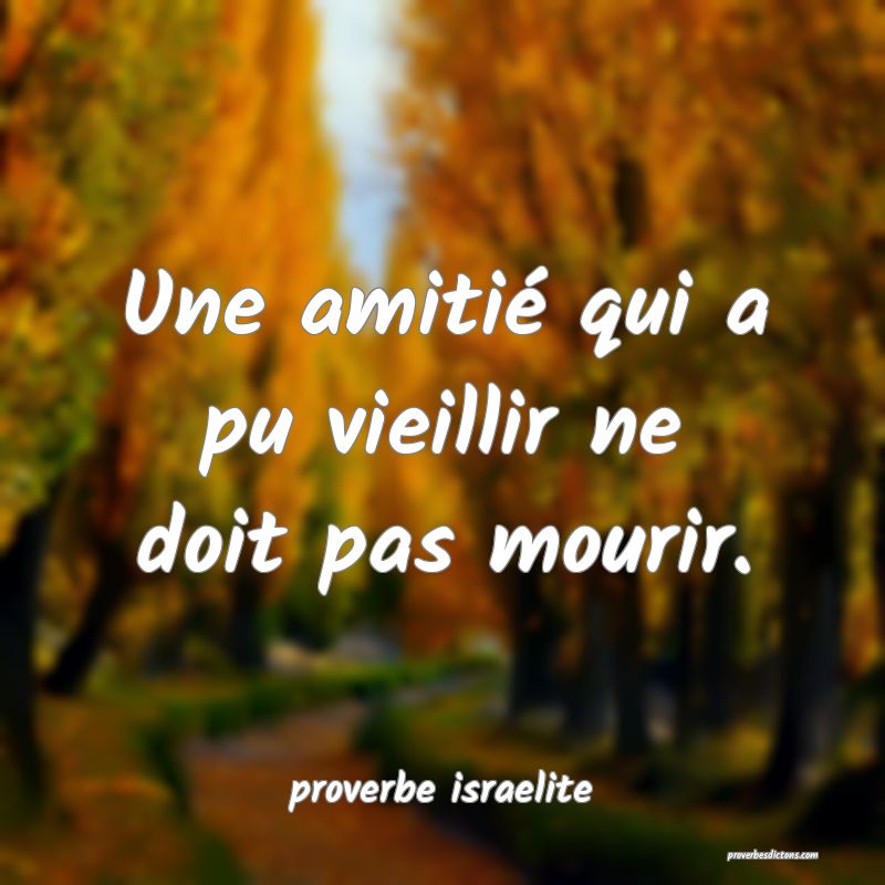  Une amitié qui a pu vieillir ne doit pas mourir.