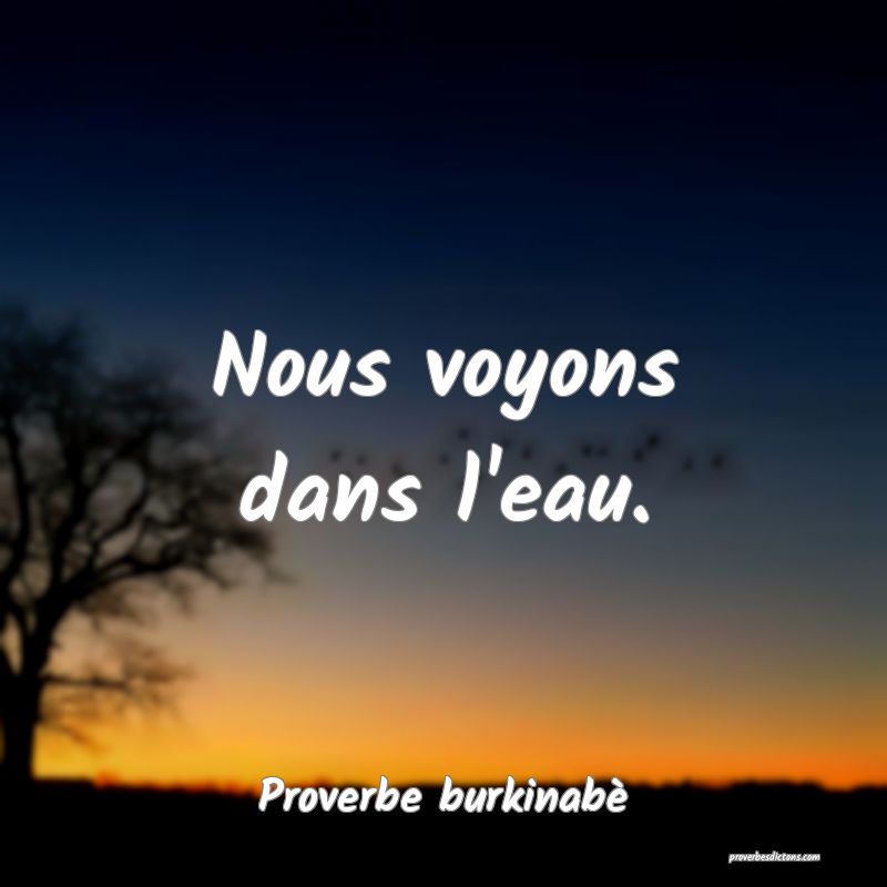  Nous voyons dans l'eau.