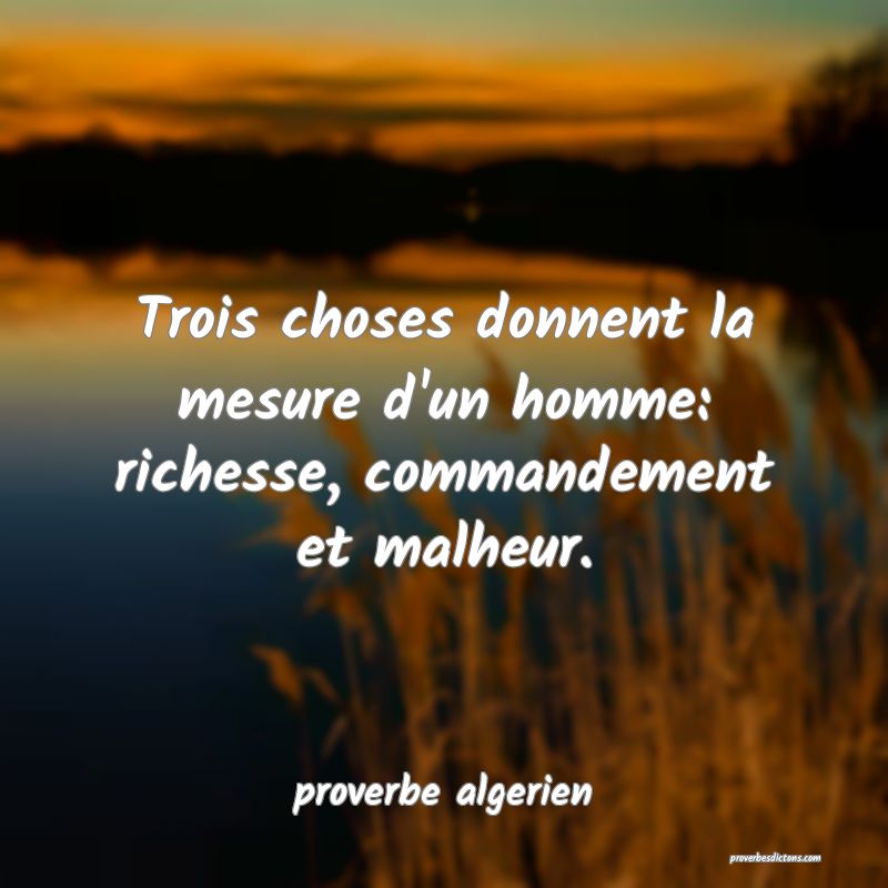  Trois choses donnent la mesure d'un homme: richesse, commandement et malheur.