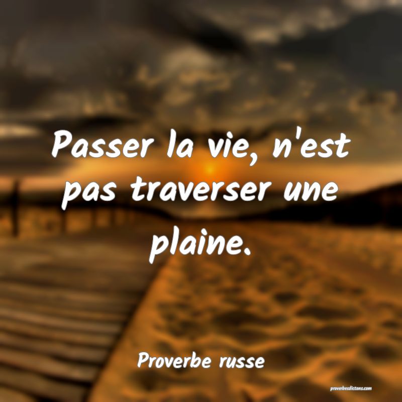  Passer la vie, n'est pas traverser une plaine.