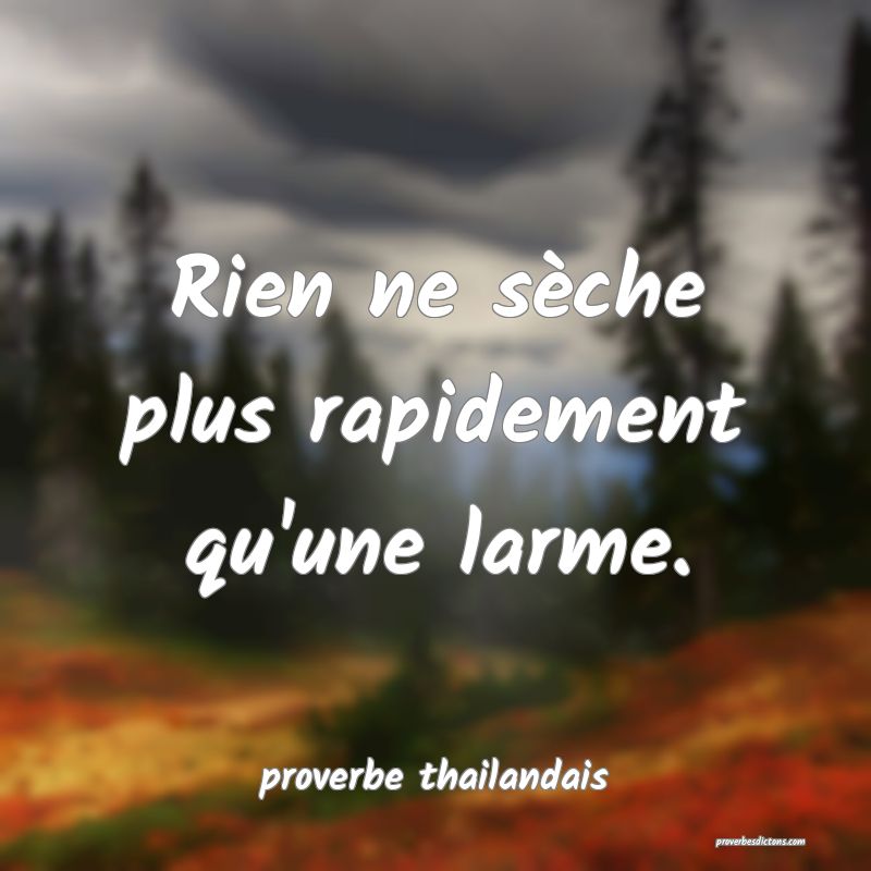  Rien ne sèche plus rapidement qu'une larme.