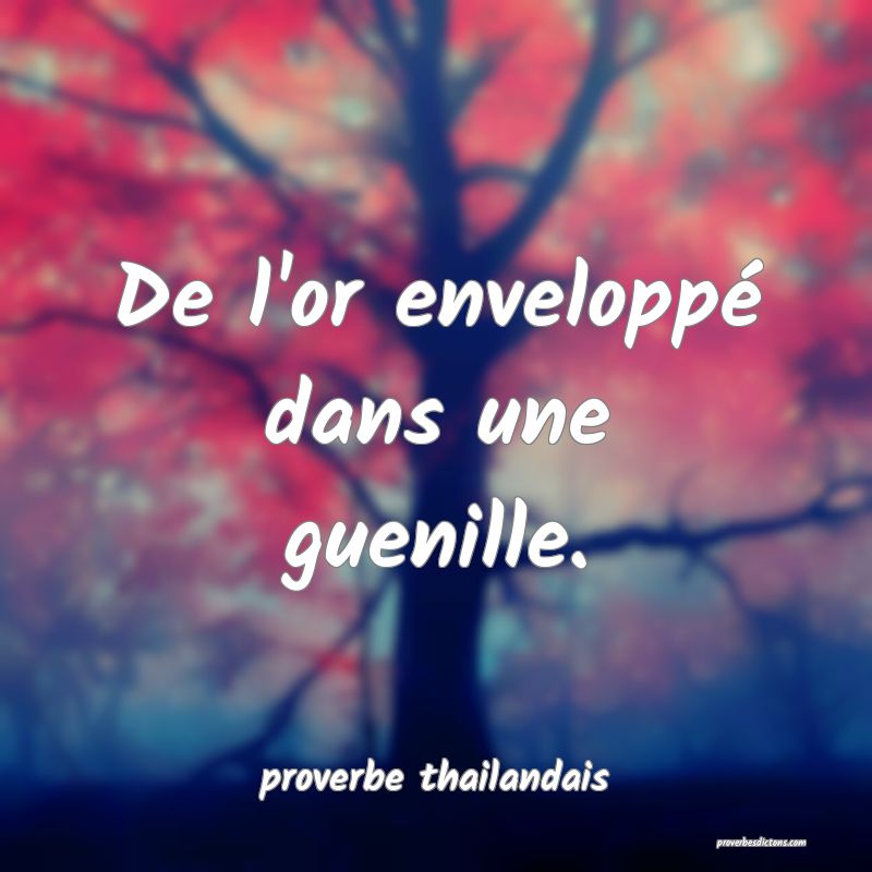 De l'or enveloppé dans une guenille.