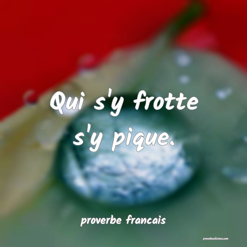  Qui s'y frotte s'y pique.