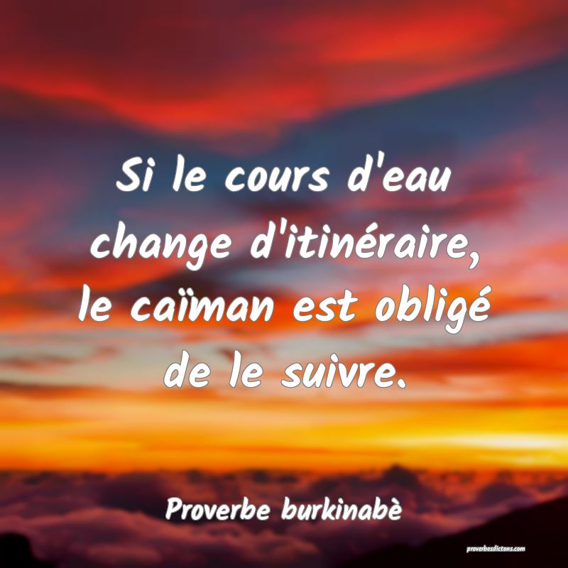 Si le cours d'eau change d'itinéraire, le caïman est obligé de le suivre.