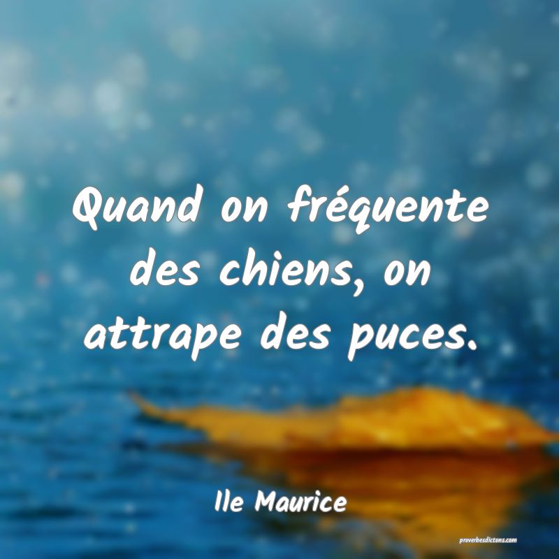  Quand on fréquente des chiens, on attrape des puces.
