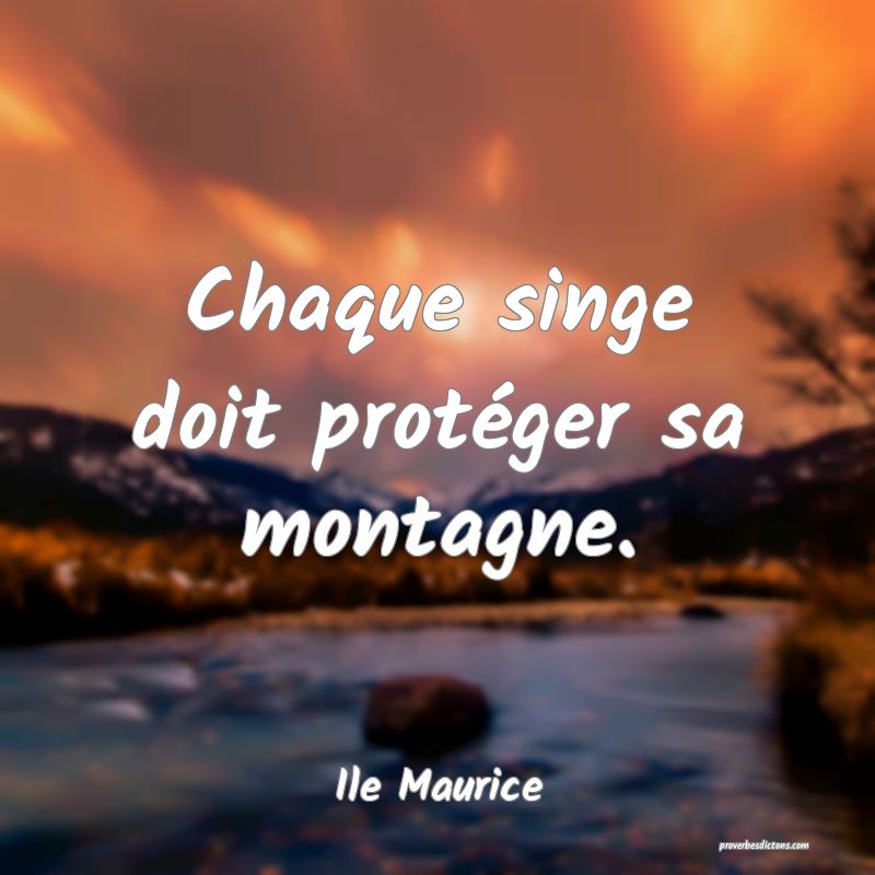  Chaque singe doit protéger sa montagne.