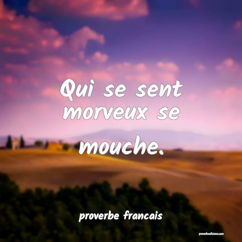  Qui se sent morveux se mouche.