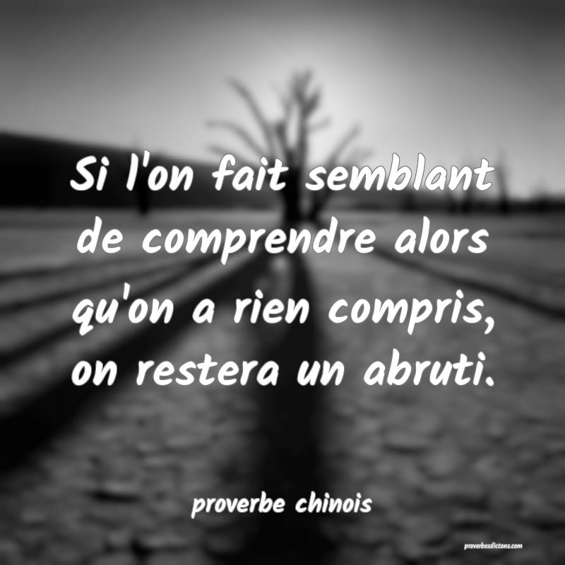  Si l'on fait semblant de comprendre alors qu'on a rien compris, on restera un abruti.
