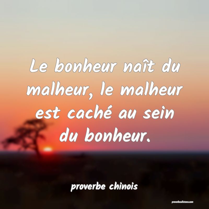  Le bonheur naît du malheur, le malheur est caché au sein du bonheur.