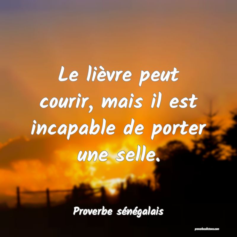  Le lièvre peut courir, mais il est incapable de porter une selle.