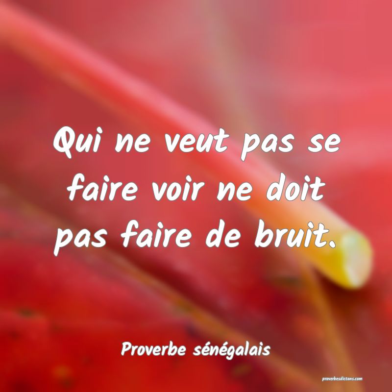  Qui ne veut pas se faire voir ne doit pas faire de bruit.