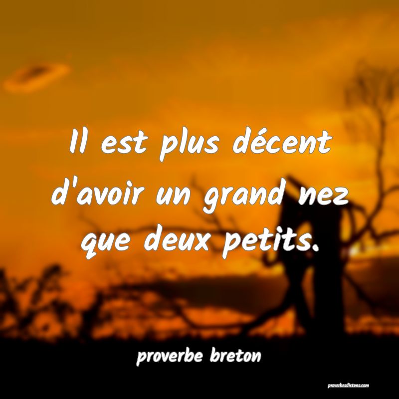  Il est plus décent d'avoir un grand nez que deux petits.