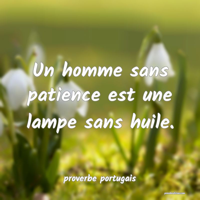  Un homme sans patience est une lampe sans huile.