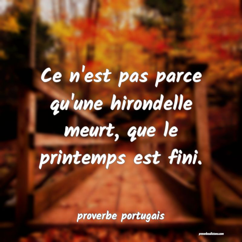  Ce n'est pas parce qu'une hirondelle meurt, que le printemps est fini.