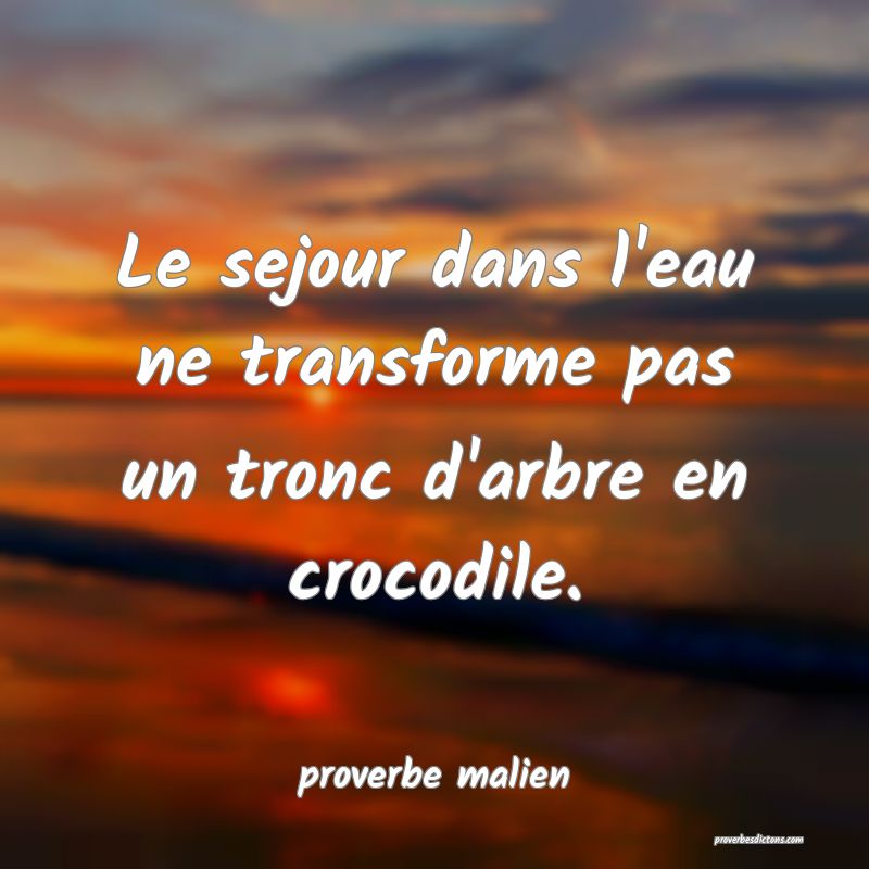  Le sejour dans l'eau ne transforme pas un tronc d'arbre en crocodile.