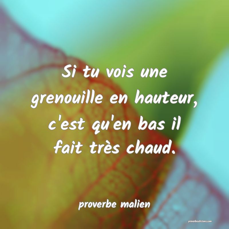  Si tu vois une grenouille en hauteur, c'est qu'en bas il fait très chaud.
