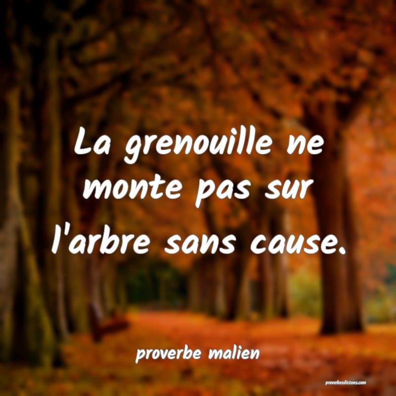  La grenouille ne monte pas sur l'arbre sans cause.