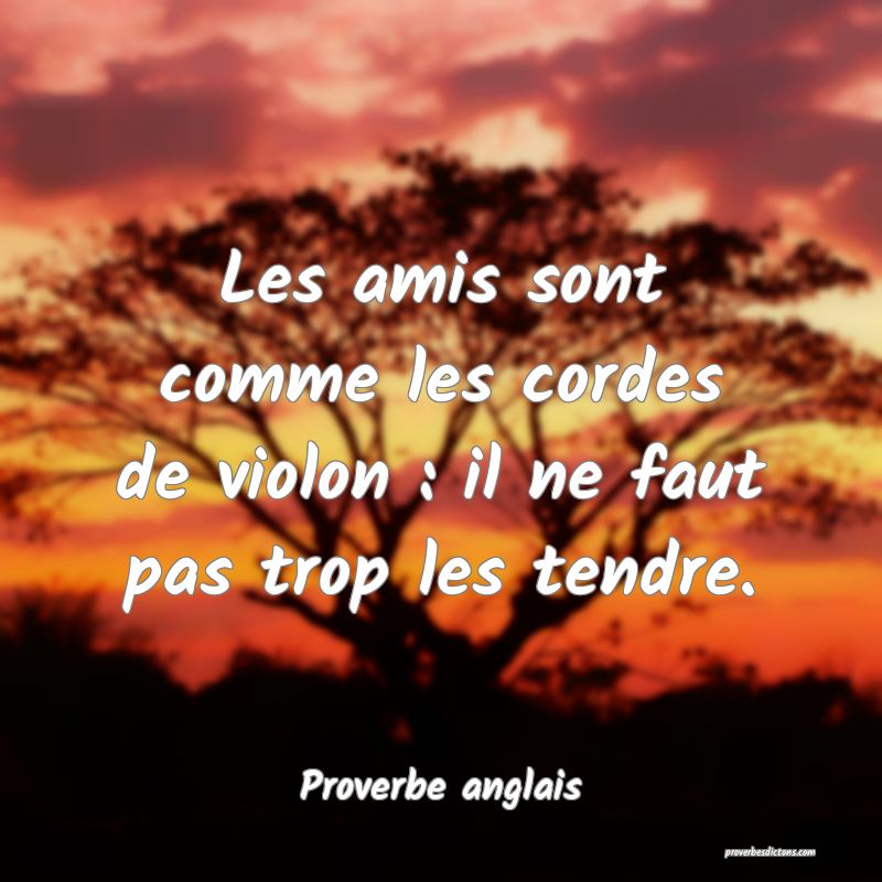 Les amis sont comme les cordes de violon : il ne faut pas trop les tendre.