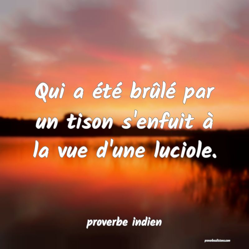  Qui a été brûlé par un tison s'enfuit à la vue d'une luciole.