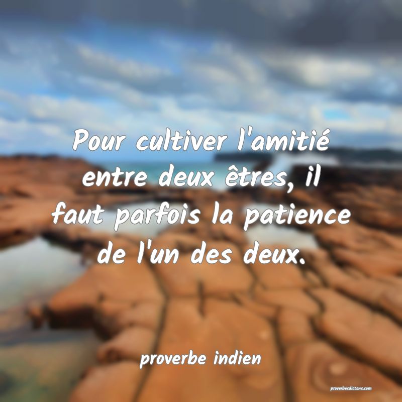  Pour cultiver l'amitié entre deux êtres, il faut parfois la patience de l'un des deux.