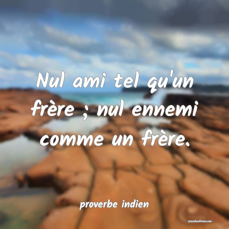  Nul ami tel qu'un frère ; nul ennemi comme un frère.