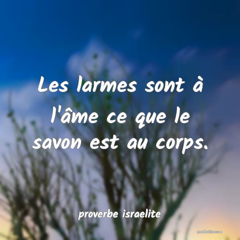  Les larmes sont à l'âme ce que le savon est au corps.