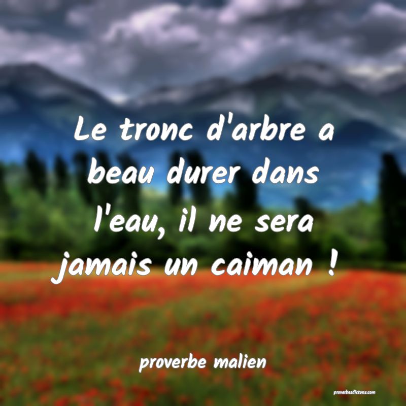  Le tronc d'arbre a beau durer dans l'eau, il ne sera jamais un caiman !
