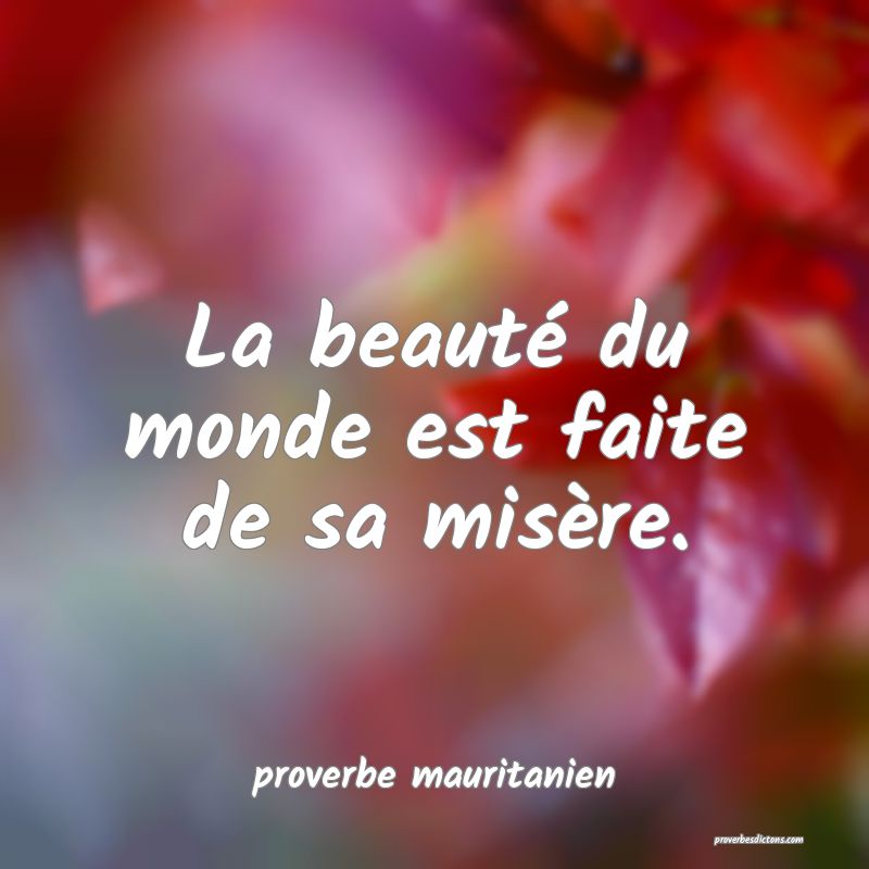  La beauté du monde est faite de sa misère.