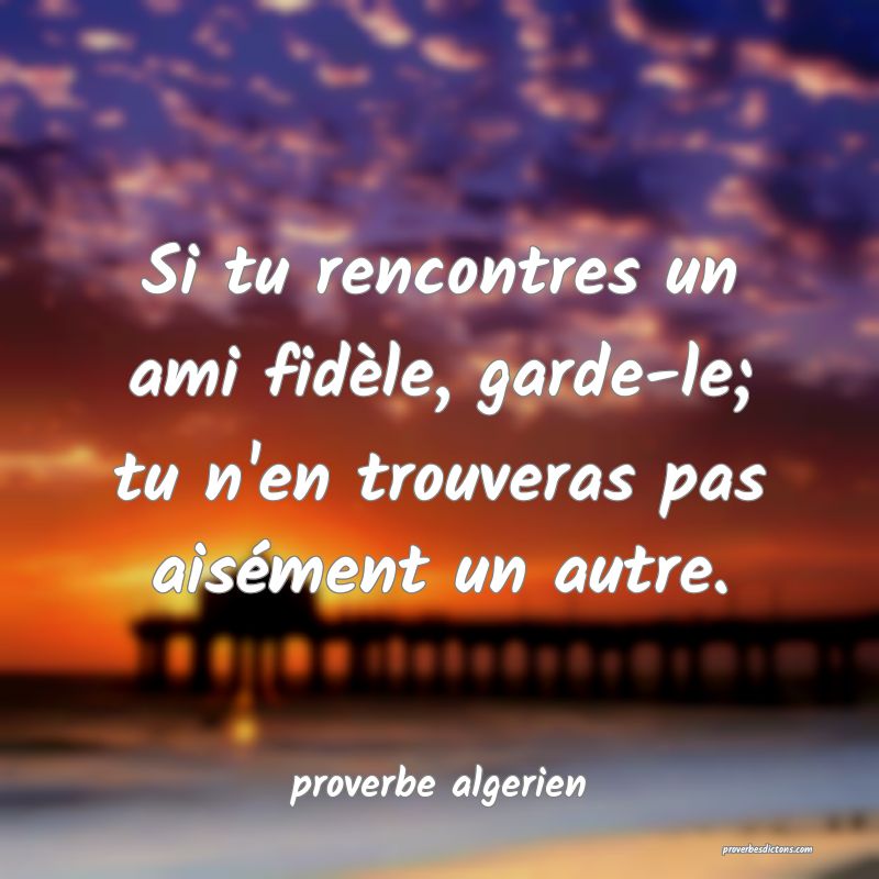  Si tu rencontres un ami fidèle, garde-le; tu n'en trouveras pas aisément un autre.