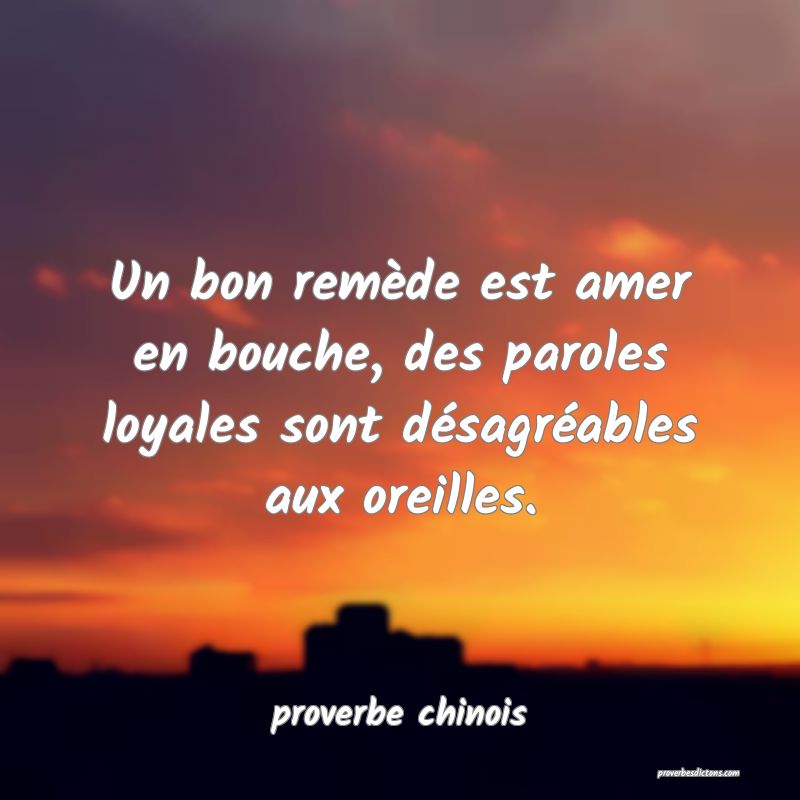  Un bon remède est amer en bouche, des paroles loyales sont désagréables aux oreilles.